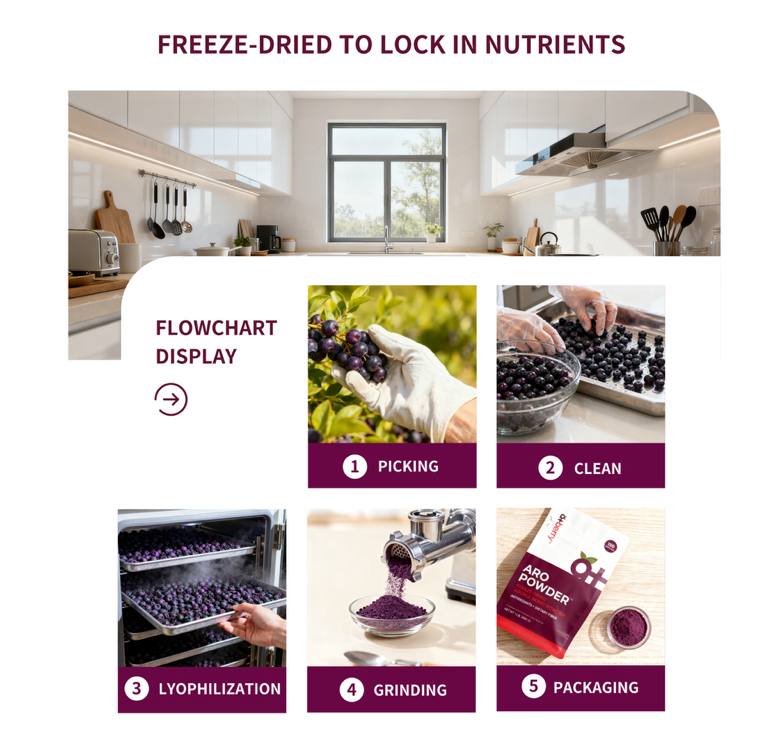 AroPowder - Freeze Dried Aronia Berry (Chokeberry) Powder